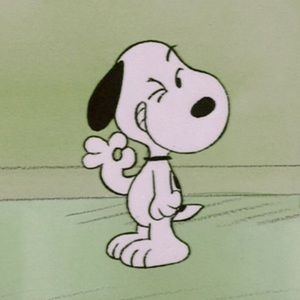 Meet your Posher, Macy